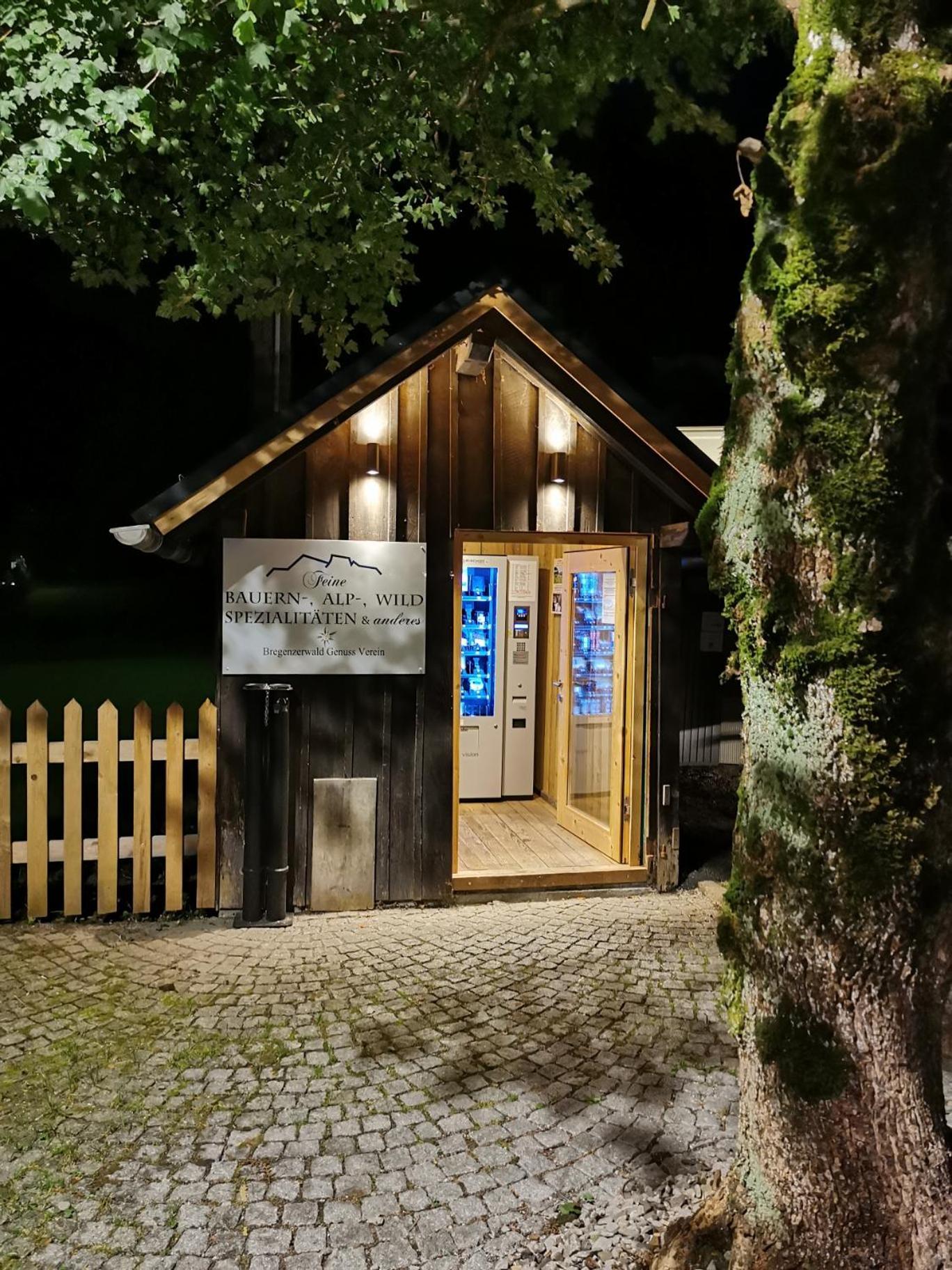 Alps Romantik Mellau Exterior photo